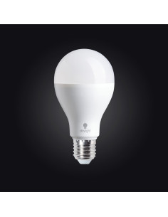 Lampadina LED luce diurna - 19 watt a vite