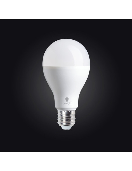 Lampadina LED luce diurna - 19 watt a vite