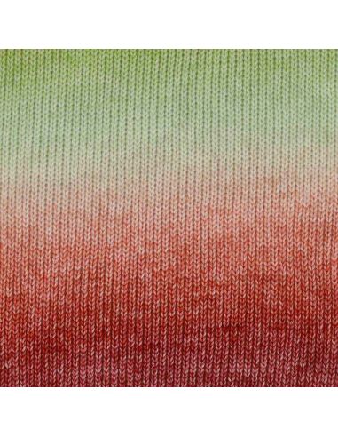 Laine Scheepjes Stone Washed Flow