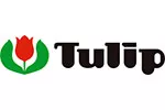 Tulip